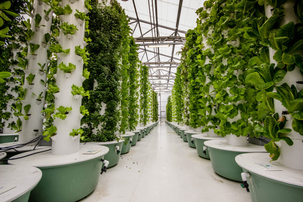 Aeroponics farm