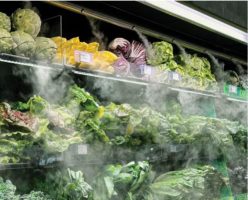 Micronice for Food Display Humidification